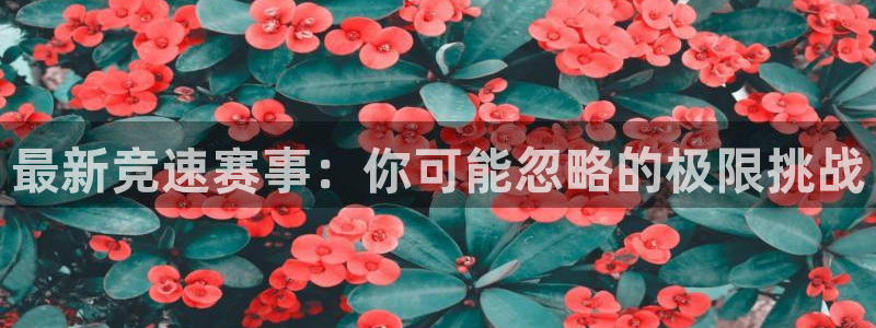 最新竞速赛事：你可能忽略的极限挑战