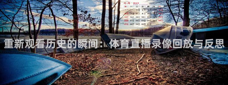 重新观看历史的瞬间：体育直播录像回放与反思