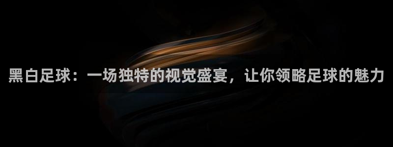 黑白足球：一场独特的视觉盛宴，让你领略足球的魅力