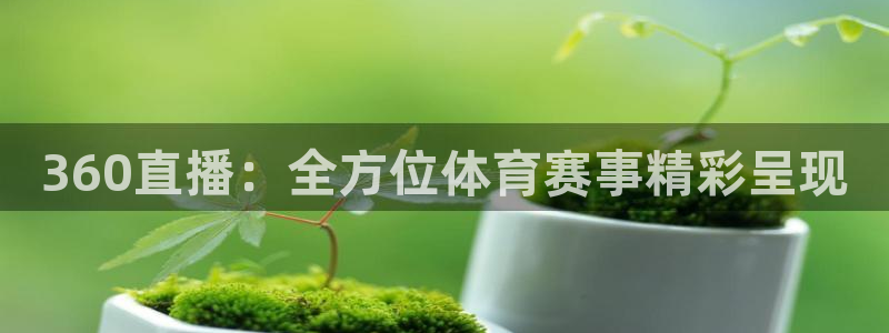 360直播：全方位体育赛事精彩呈现