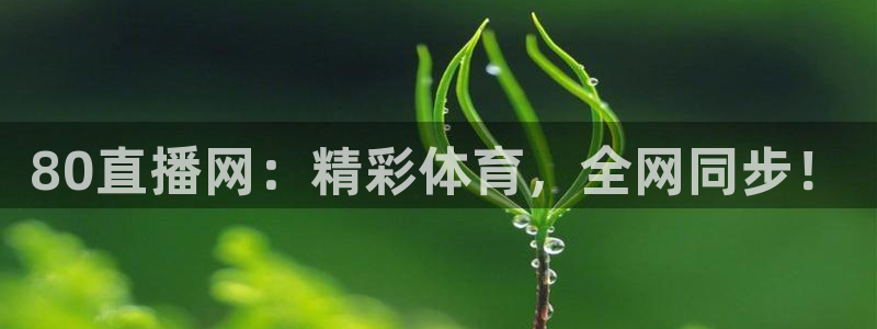80直播网：精彩体育，全网同步！