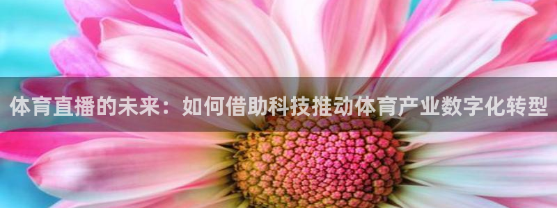 体育直播的未来：如何借助科技推动体育产业数字化转型