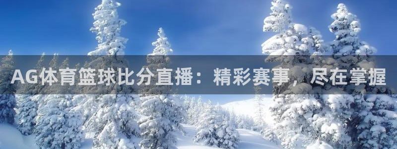 AG体育篮球比分直播：精彩赛事，尽在掌握