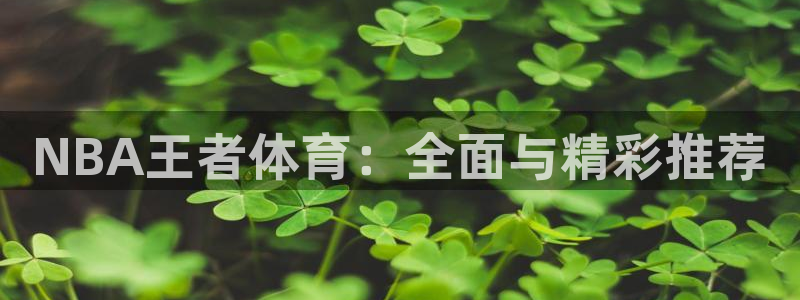 NBA王者体育：全面与精彩推荐