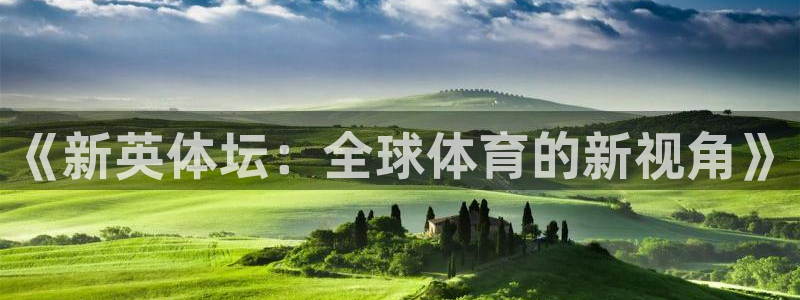 《新英体坛：全球体育的新视角》