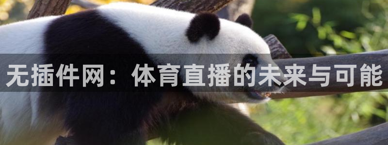 无插件网：体育直播的未来与可能