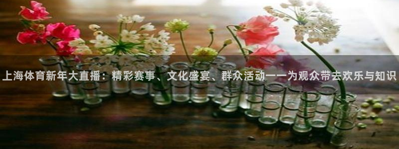 上海体育新年大直播：精彩赛事、文化盛宴、群众活动一一为观众带去欢乐与知识