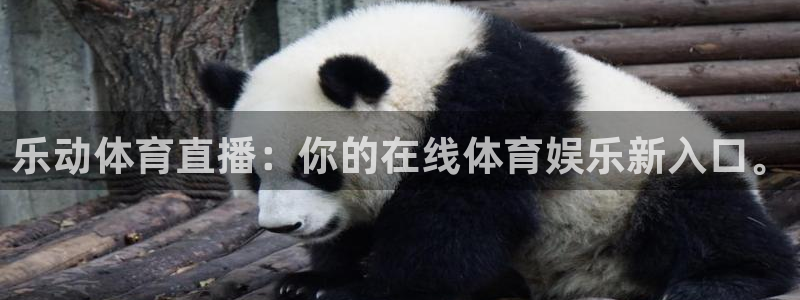 乐动体育直播：你的在线体育娱乐新入口。